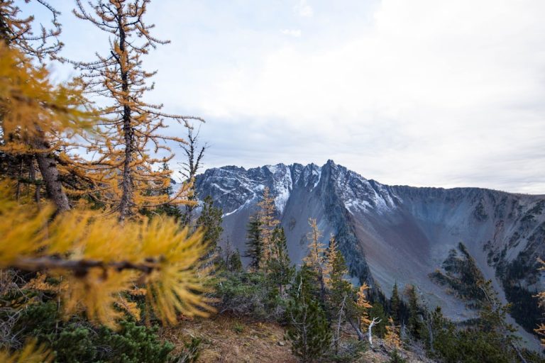 Embracing Minimalism: Budget-Friendly Outdoor Adventures